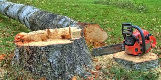 Best Hazardous Tree Removal  in Sylvania, GA