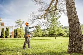 Best Tree Maintenance Programs  in Sylvania, GA