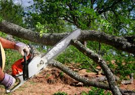 Best Lawn Mowing  in Sylvania, GA