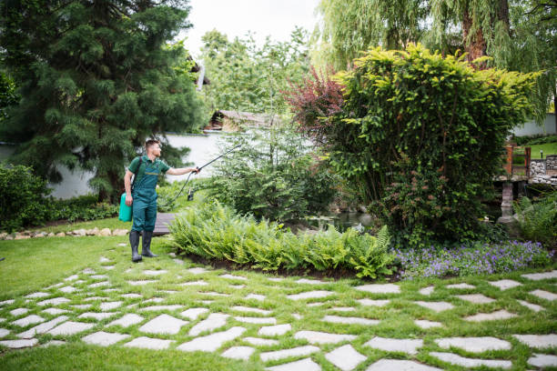 Best Lawn Maintenance Plans  in Sylvania, GA