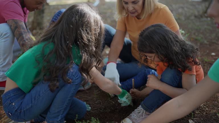  Sylvania, GA Tree Services Pros