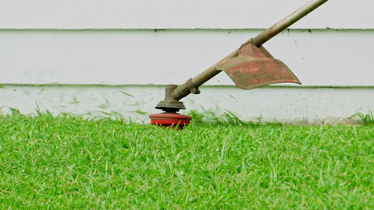 Best Lawn Irrigation Installation and Maintenance  in Sylvania, GA