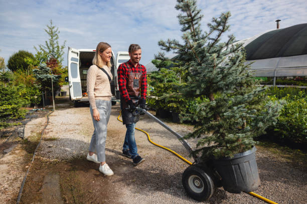 Best Commercial Tree Services  in Sylvania, GA